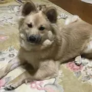ゆきちゃん