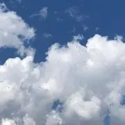 ハラッペの画像