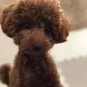 もっぷの画像
