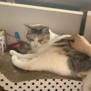 ゆうーーーの画像