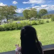 あーちゃんの画像