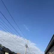 こいこいの画像