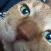 りょう