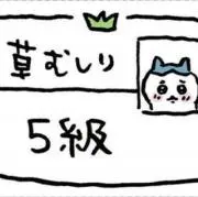 ちいの画像