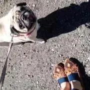 kーk