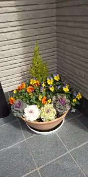うさこねこ☆
