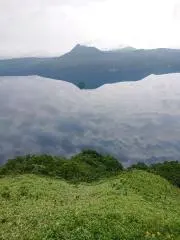 hanzeの画像