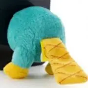 かものはしの画像