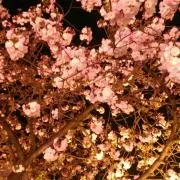 kmの画像