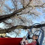 suzu☆の画像