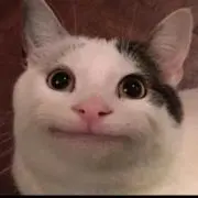 じゃがりこ