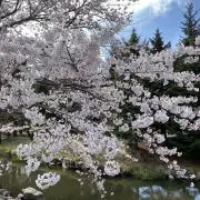翼.の画像