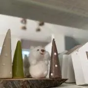mioの画像