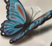 リーフの画像