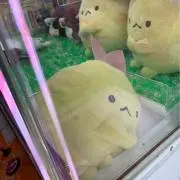 受注生産・完売品】おおきなすみっコぬいぐるみ ざっそう 特大 - メルカリ