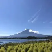 ランタロの画像