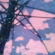 Homie✱プロフィール必読