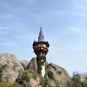 のこのこの画像