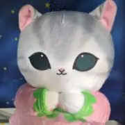 ちゃまの画像
