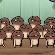 なめこの画像