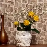 ニャッキの画像