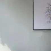 サクラ