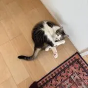 じゅんの画像