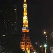 松井秋子