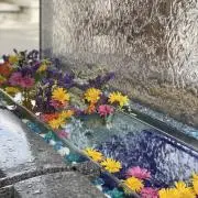 chovil_knの画像