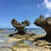 Hontomo 基本はゆうゆうメル便の画像