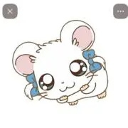 ゆったんの画像