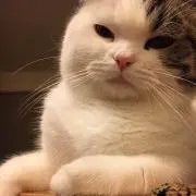 megumilk☆の画像