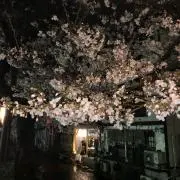 まる / プロフご一読ください