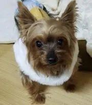 ななぱぱの画像