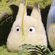 Reeの画像