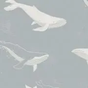umiの画像