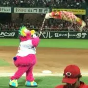 maoの画像