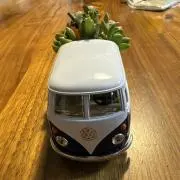 ピルロの画像