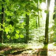 なぁち☆の画像
