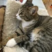 朔弥⭐︎の画像