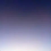 キクタンの画像
