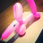 おさかなの画像