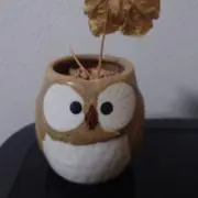 keta24の画像