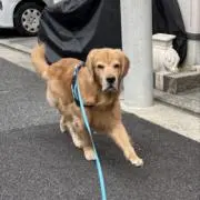 BUっ子メンの画像