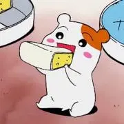 Piの画像