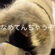 現役自転車店員の画像