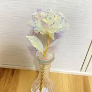Ran❀. 匿名発送