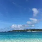 mia