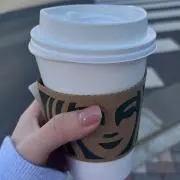 ぱぴこの画像