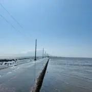 kinの画像